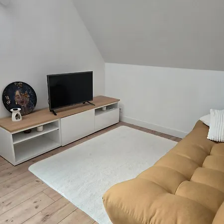 Duplex Sous Les Toits D'alsace *