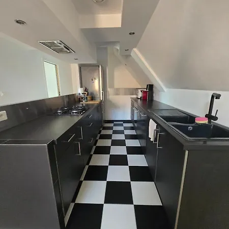 Duplex Sous Les Toits D'alsace *