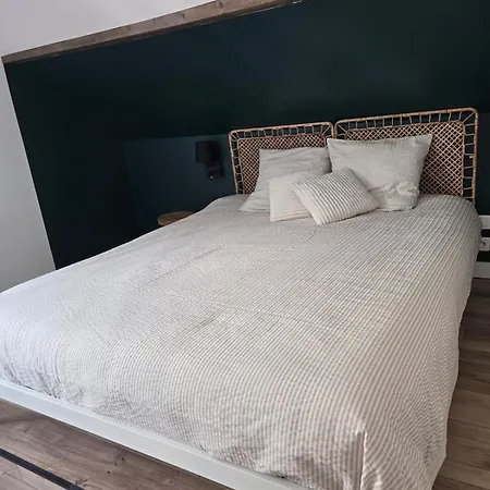 شقة Duplex Sous Les Toits D'alsace Dannemarie (Haut-Rhin)