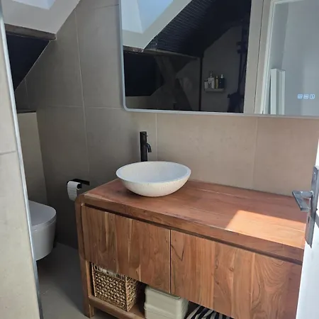 Duplex Sous Les Toits D'alsace * Dannemarie (Haut-Rhin)