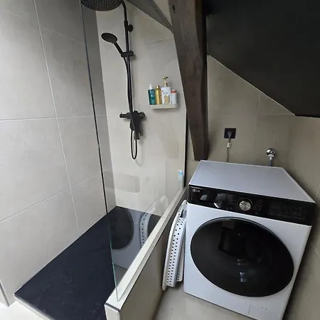 Duplex Sous Les Toits D'alsace شقة Dannemarie (Haut-Rhin)