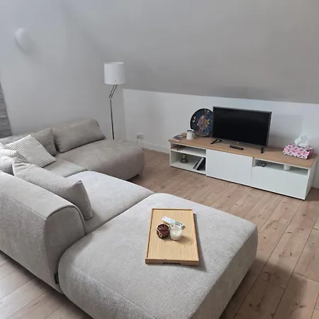 Duplex Sous Les Toits D'alsace * Dannemarie (Haut-Rhin)